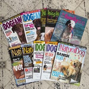 12 Dog Magazines Collection - Dog Fancy, Wag World, AKC and Natural Dog